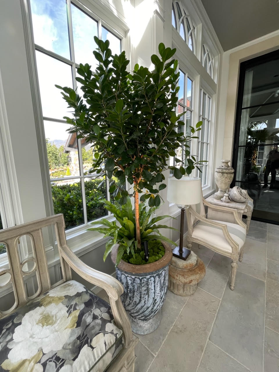 Weathered fluted planter with a specimen tree beside a stone urn and pedestal