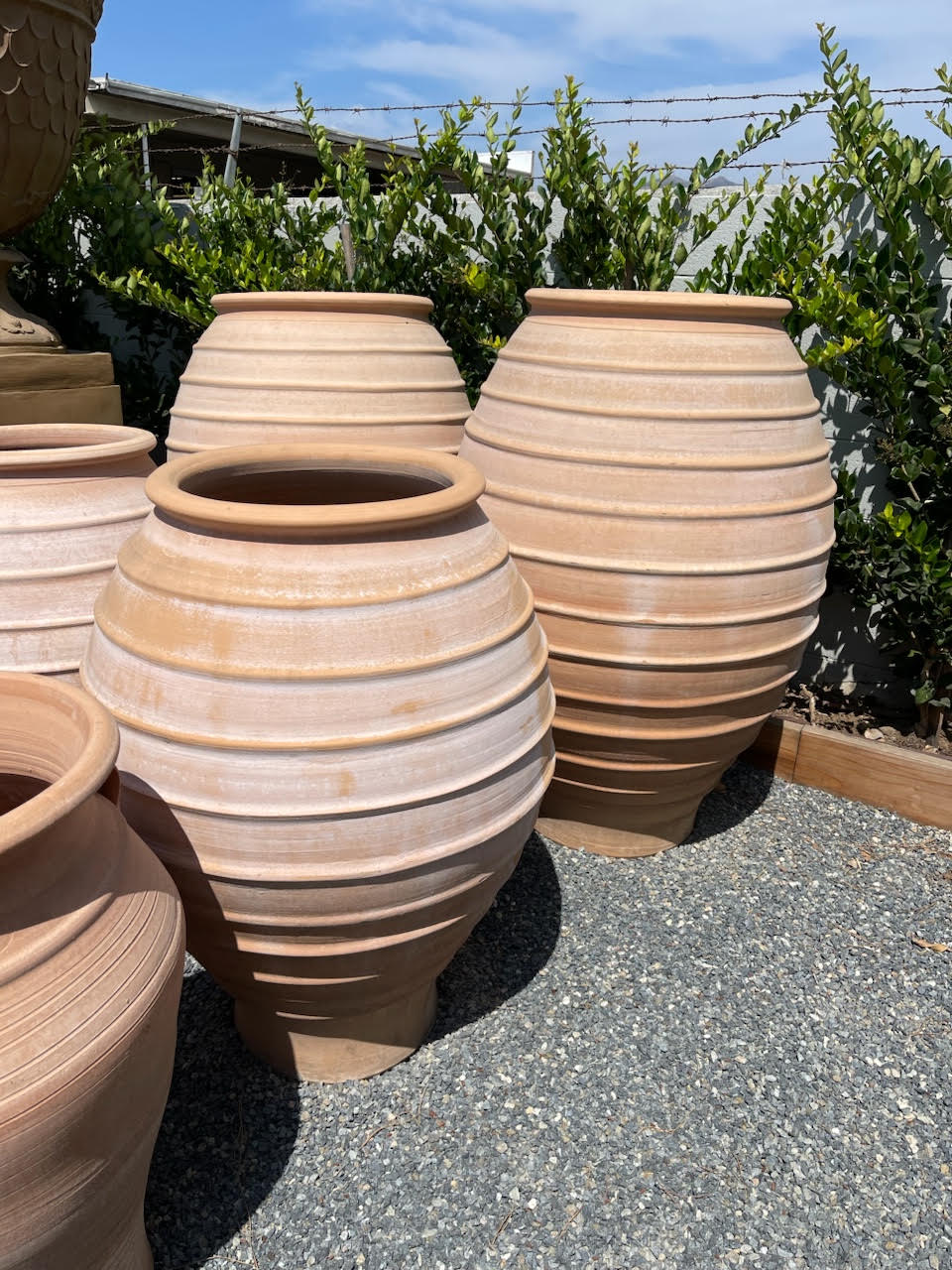 Tall ribbed Mediterranean terra cotta planters