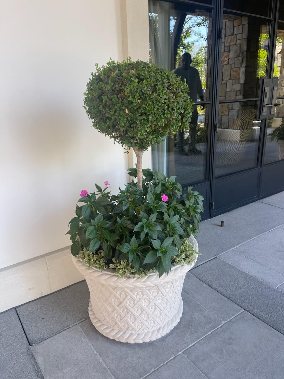 White basketweave planter with a boxwood topiary at a front entry