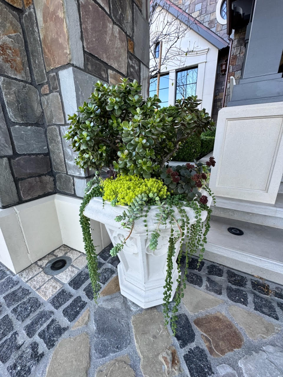 White cast stone pedestal planter filled with succulents at a stone entry